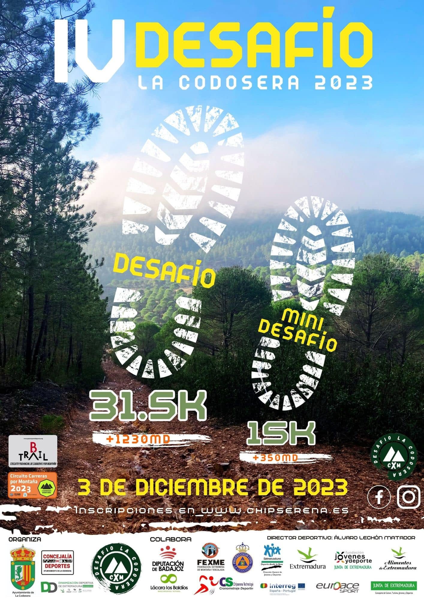 Cartel IV
